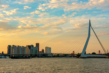 Rotterdam city cityscape with Erasmus bridge at sunset