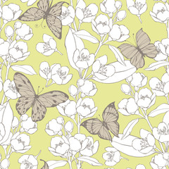 Seamless pattern with blossoming branches of jasmine and butterflies.  Vector illustration.