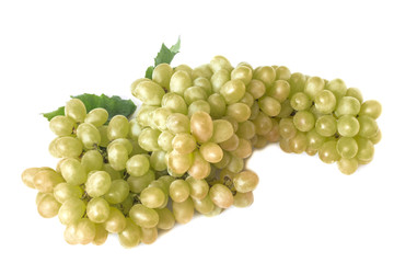 large branch of ripe white grapes
