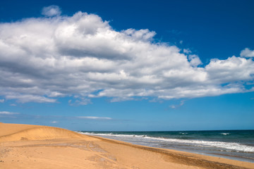 Fototapeta na wymiar Sandy beach with sand dunes in Maspalomas, Gran Canaria, Canary islands, Spain.