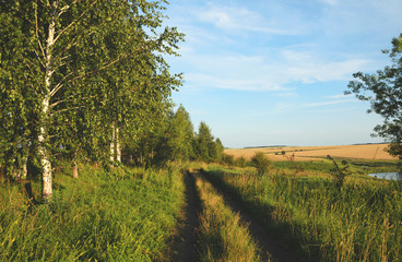 Sunny summer landscape with ground countryside road at sunset.Nature of Tula region,Russia
