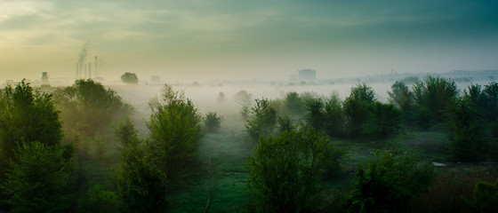 green vs city