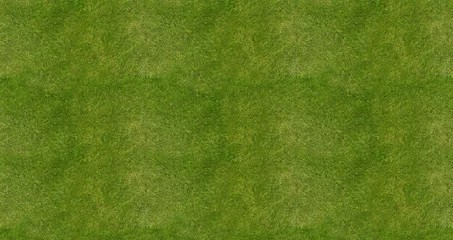 Gordijnen Voetbal voetbalveld gras achtergrond © viperagp