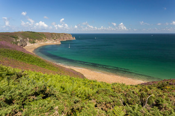Fougère, côte et landes au cap Fréhel