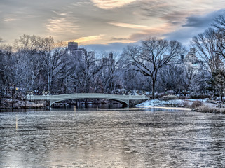 Bow bridge Central Park