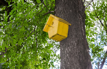 Wooden birdhouse hanging from a tree with green leaves