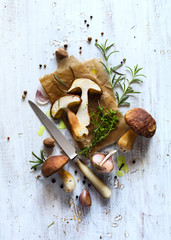 autumn cooking  background;  organic porcini Mushroom; seasoning forest Mushroom and Italian Spices Herb