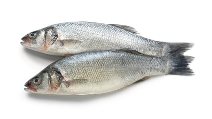 Fresh fish on white background