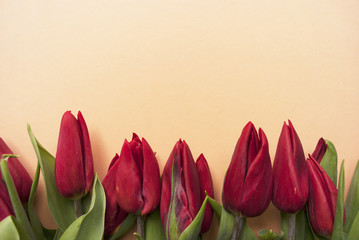 Bouquet of red tulips on a peach background with copy space. Flat lay