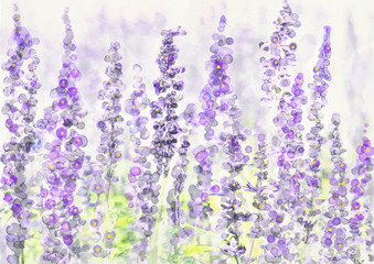 Lavender field. Watercolor bacground. - 171897844
