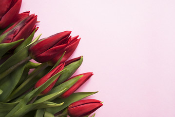 Bouquet of red tulips on a pink background with copy space. Flat lay