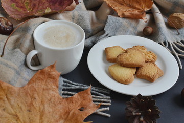 Tea Cup Hot Coffee Cappuccino Autumn Time Cookie Tinted Toned Photo Knitting Scarf Yellow Leaves Chestnuts Black Background