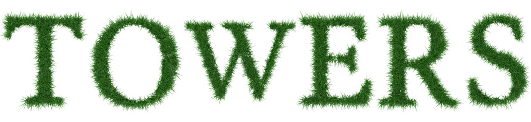 Towers - 3D rendering fresh Grass letters isolated on whhite background.