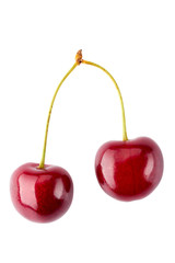 Two ripe cherries on white