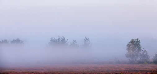 eine deutsche Heidelandschaft im Herbst bei Sonnenaufgang mit Frühnebel © Rainer Fuhrmann