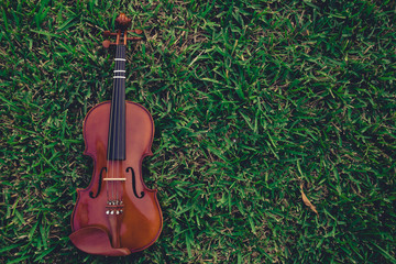 Violin lying on grass background