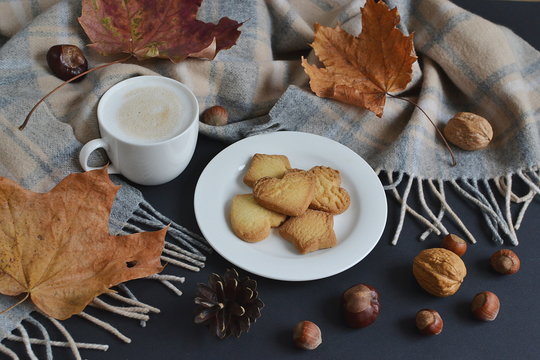 Tea Cup Hot Coffee Cappuccino Autumn Time Cookie Tinted Toned Photo Knitting Scarf Yellow Leaves Chestnuts Black Background