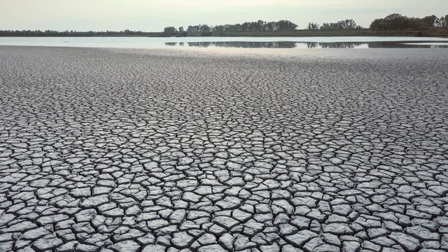 cracked soil in wetlands near Ferrara
