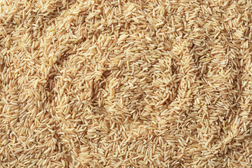 Raw brown rice, closeup