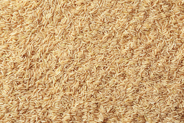 Raw brown rice, closeup