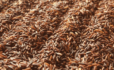 Raw black rice, closeup