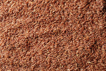 Raw red rice, closeup