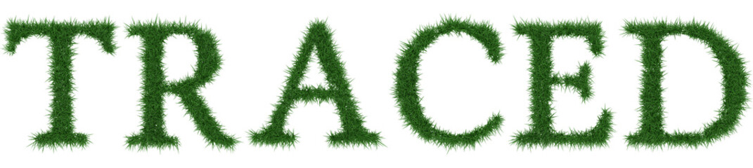 Traced - 3D rendering fresh Grass letters isolated on whhite background.