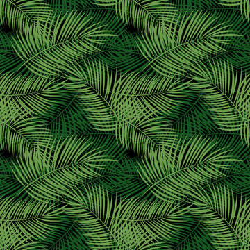 Palm Leaf Vector Seamless Pattern Background Illustration