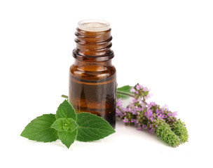 bottle of peppermint oil and fresh mint isolated on white background