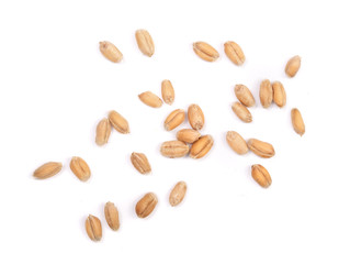 wheat grains isolated on white background. Top view