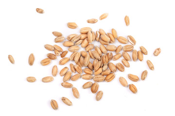wheat grains isolated on white background. Top view