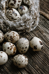 Quail eggs in a nest on a wooden background