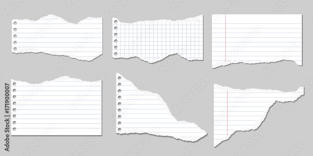 Poster set of vector illustrations of torn pages of notebook paper lined and square