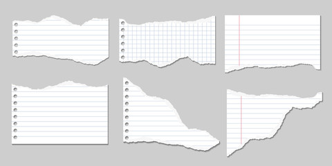 Set of Vector Illustrations of torn pages of notebook paper lined and square