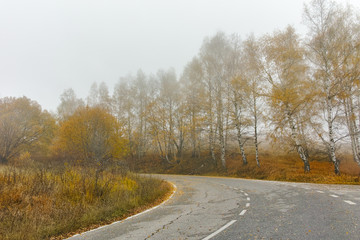 Fototapeta premium Autumn Landscape with yellow trees, Vitosha Mountain, Sofia City Region, Bulgaria