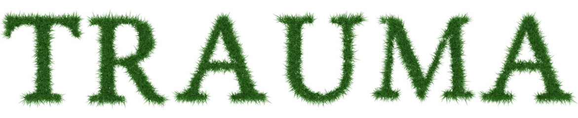 Trauma - 3D rendering fresh Grass letters isolated on whhite background.