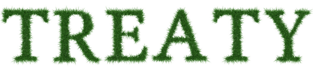 Treaty - 3D rendering fresh Grass letters isolated on whhite background.