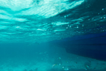 Fototapeta na wymiar Underwater photography of the Caribbean Sea. Corals and fish