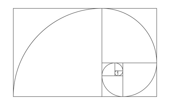 golden ratio template vector illustration fibonacci