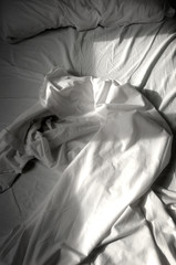 morgens