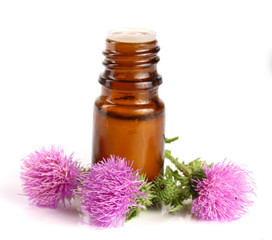 thistle oil and milk thistle flower isolated on white background
