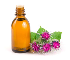 burdock oil in glass bottle and burdock flowers isolated on white background