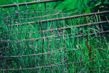 Barbed wire