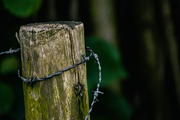Naklejka premium Barbed wire
