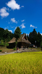 世界遺産　五箇山　相倉集落　秋