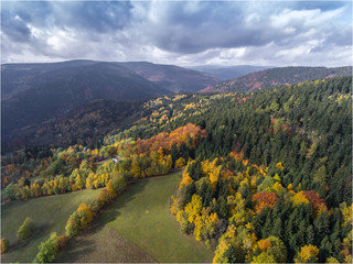 Aerial view to the autumn colored forest.