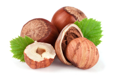 Hazelnuts with leaves isolated on white background
