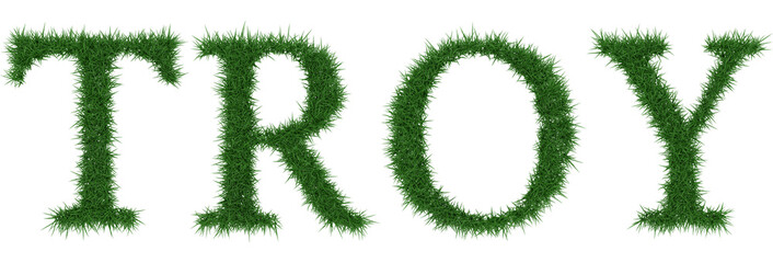 Troy - 3D rendering fresh Grass letters isolated on whhite background.