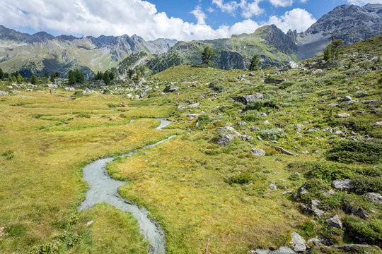 Un ruisseau de montagne au milieu de l'herbe avec des montagnes en arrière plan