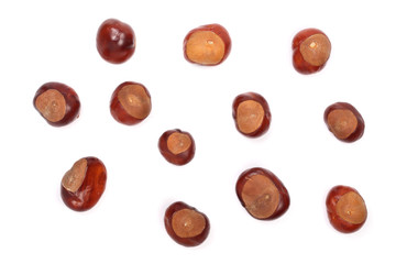 chestnut isolated on white background. Top view